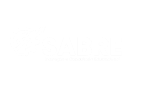 sabre